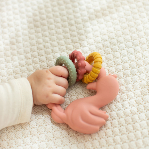 Massaggiagengive in silicone Fenicottero – Safari Friends