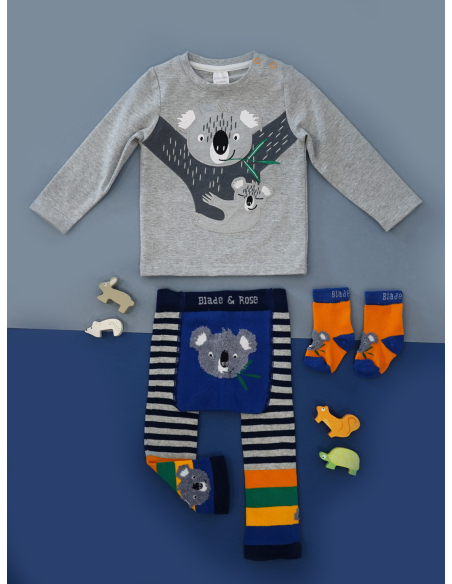 Calzini Quinn the koala