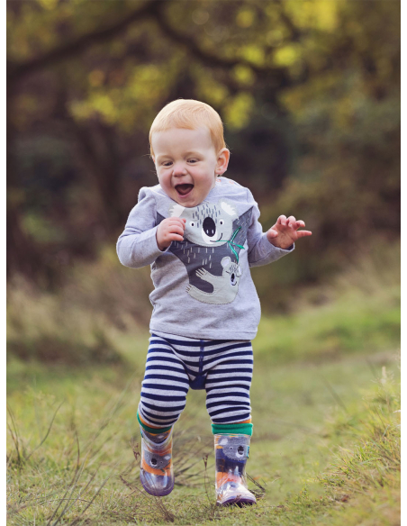 Calzini Quinn the koala