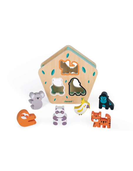 Scatola delle forme degli animali in legno - In collaborazione con il WWF