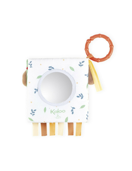 Libro Multiattività - Il leone curioso