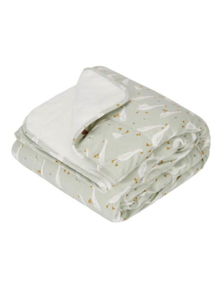 Copertina Little Goose