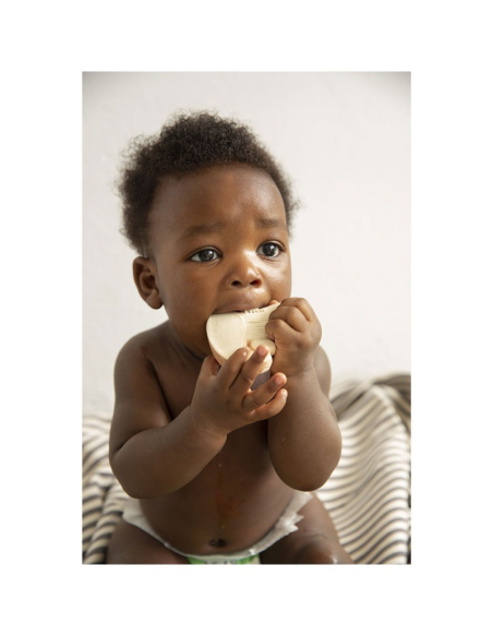 Massaggiagengive Manolo il Fungo