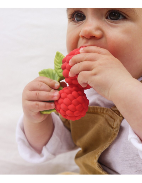 Gioco dentizione e bagnetto - VALERY il Lampone