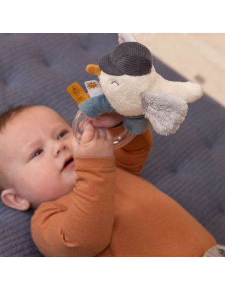 Anello sonaglino Seagull