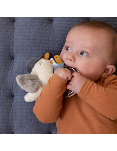 Anello sonaglino Seagull