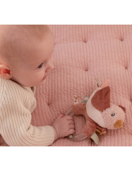 Anello sonaglino Bird